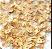 GarlicFlakes（蒜片）